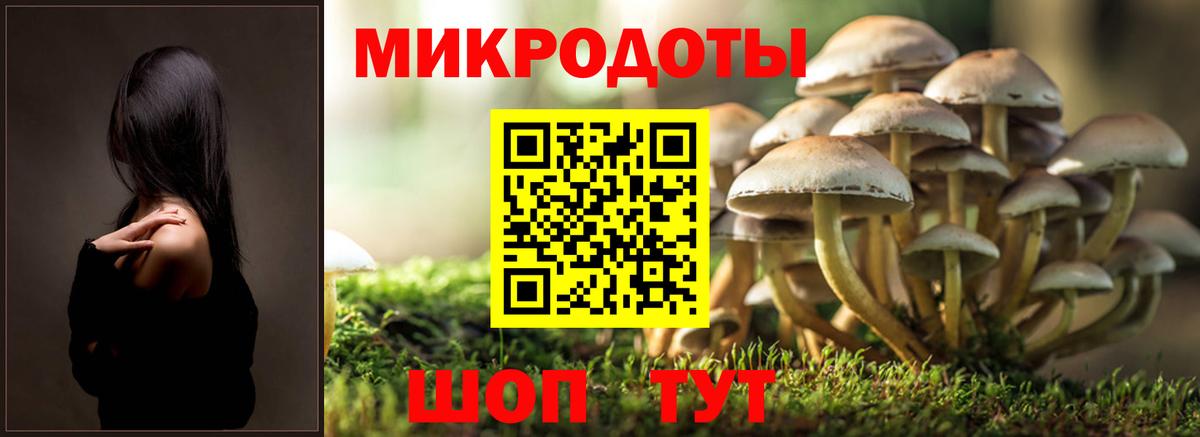 Туапсе  Псилоцибиновые грибы GOLDEN TEACHER  Вход с VPN 